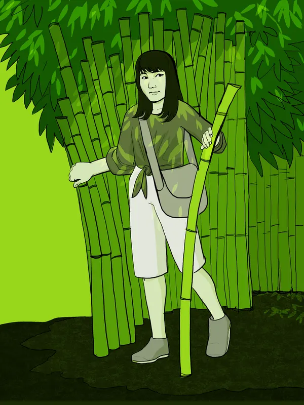 Bamboo
